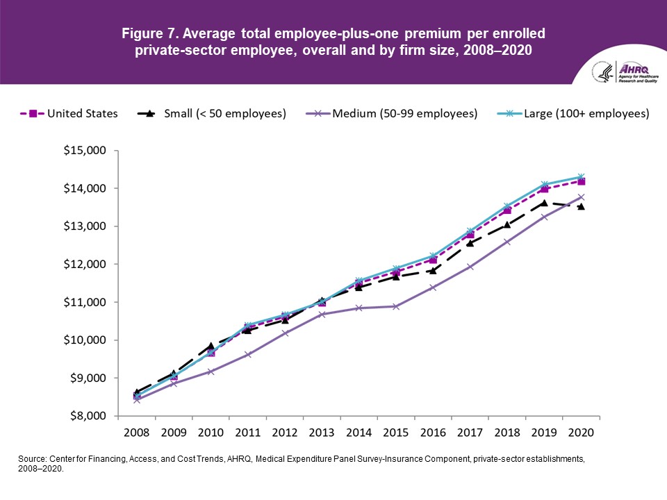 Figure displays: Average total employee-plus-one premium per enrolled private-sector employee, overall and by firm size, 2008-2020