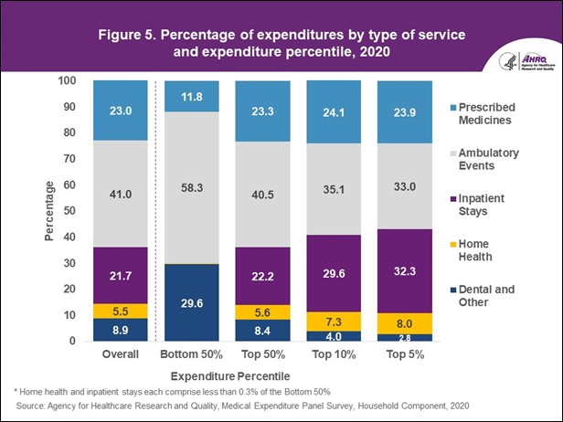 Figure displays: Percentage of expenditures by type of service and expenditure percentile, 2020