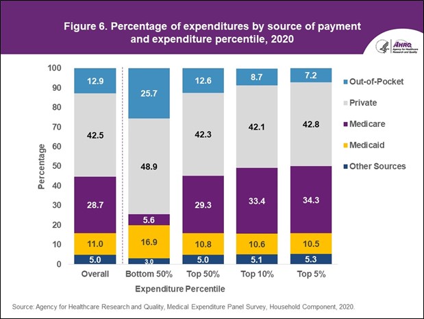 Figure displays: Percentage of expenditures by source of payment and expenditure profile, 2020