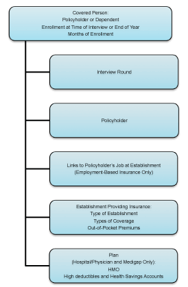 Flowchart depicting five types of record information for covered persons.