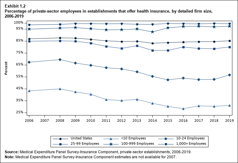 Line graph with data on the percentage of private-sector employees in establishments that offer health insurance, overall and by detailed firm size, 2006 to 2019. Data are provided in the table below.