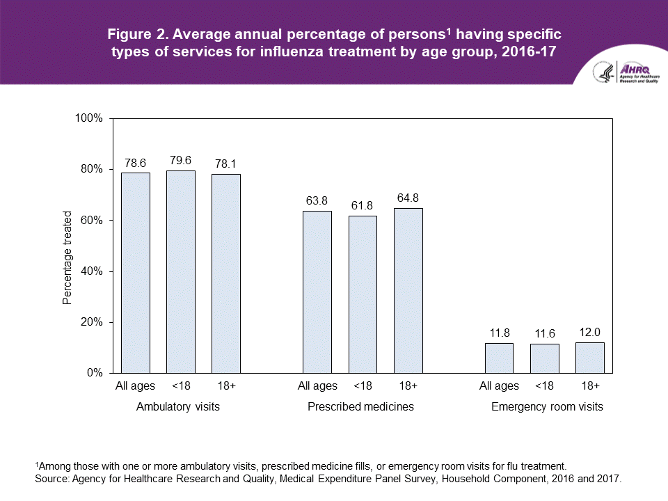 Figure contains average annual percentage of persons having specific types of services for influenza treatment by age group in 2016 to 2017.