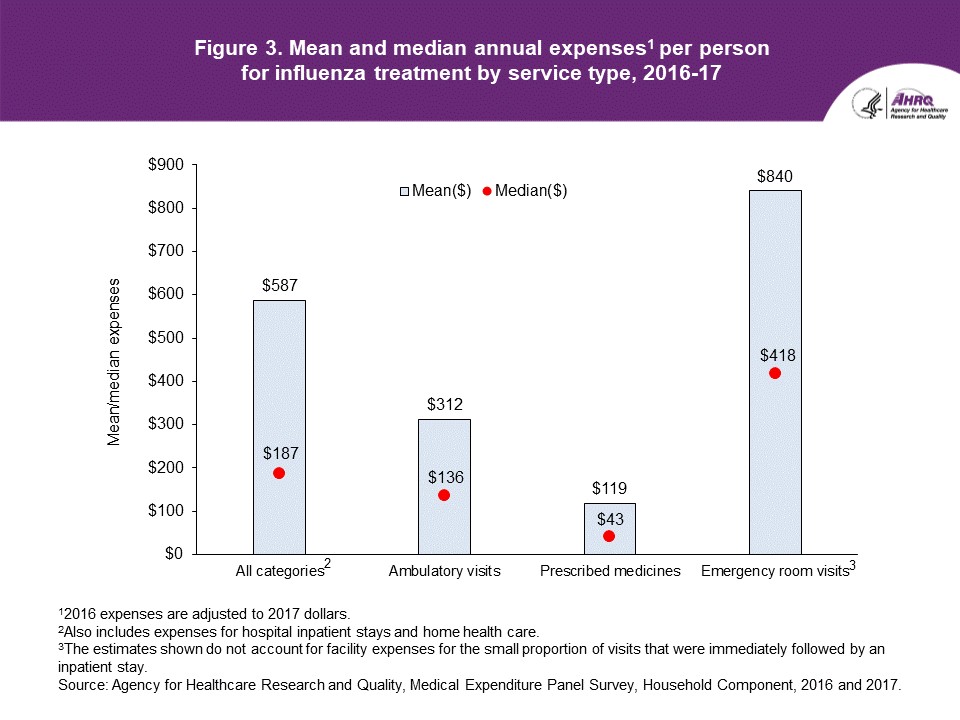 Figure contains mean and median annual expenses per person for influenza treatment by service type in 2016 to 2017.