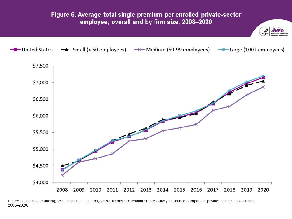 Figure displays: Average total single premium per enrolled private-sector employee, overall and by firm size, 2008-2020