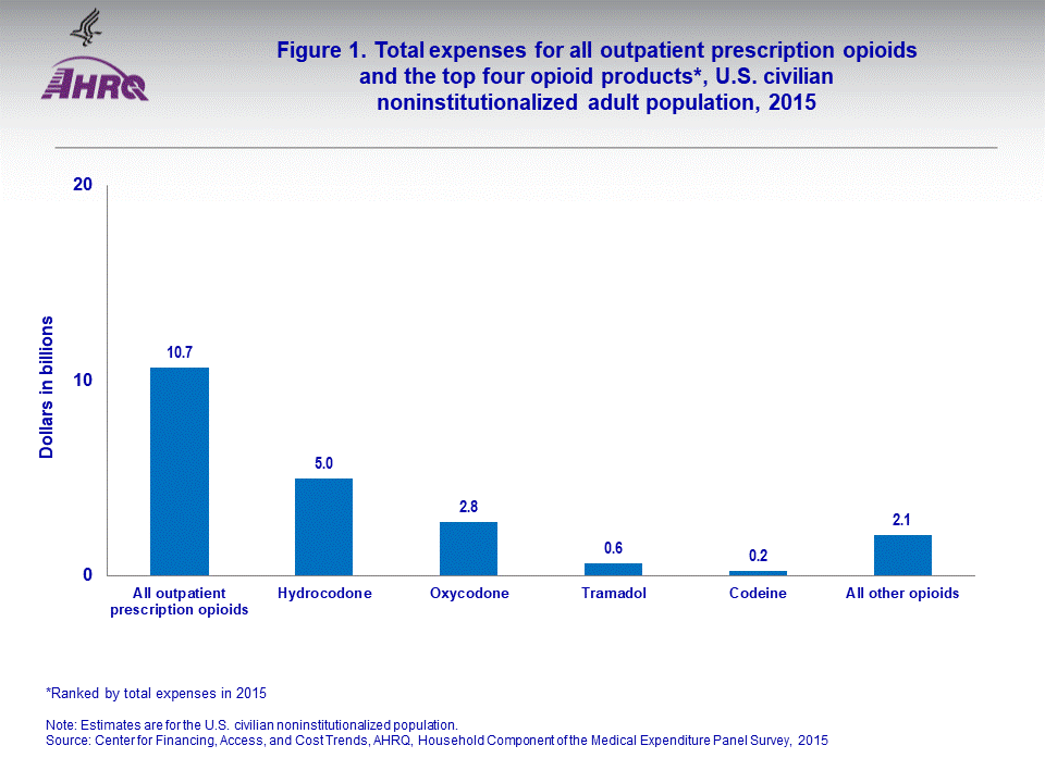 The figure contains values of total expenses for all outpatient prescription opioids and the top four opioid products* in U.S. civilian noninstitutionalized adult population, 2015; Figure data for accessible table follows the image
