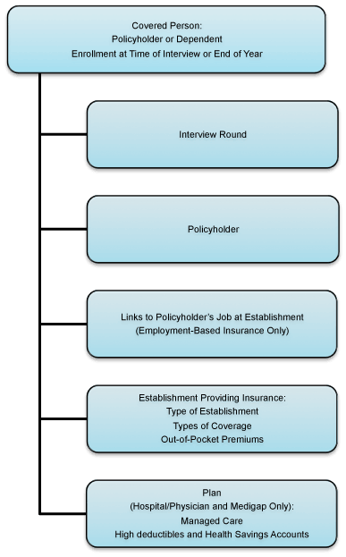 Flowchart depicting five types of record information for covered persons