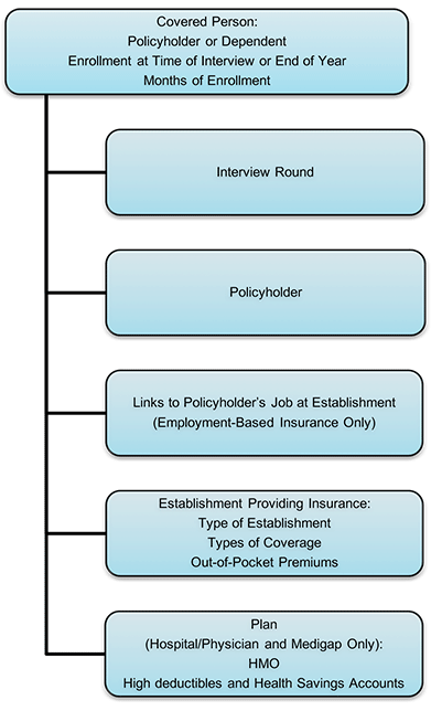 Flowchart depicting five types of record information for covered persons.