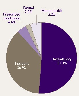 Figure 1. Pie Chart - See text conversion below for details.