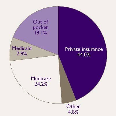 Figure 4. Pie Chart - See text conversion below for details.